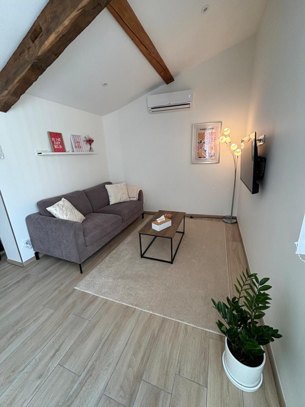 Appartement T2 Entierement Renove Place Saint Pierre