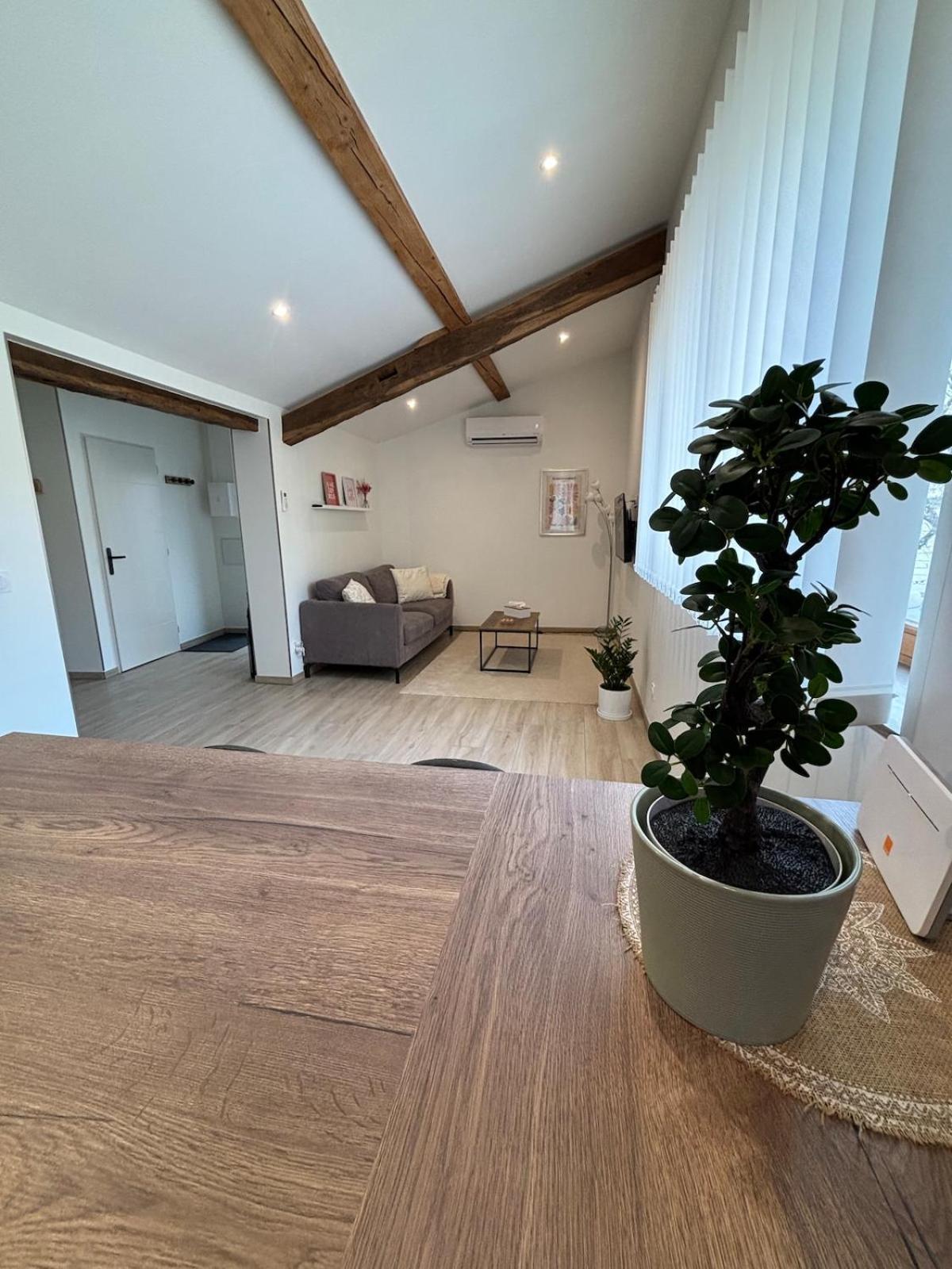 Appartement T2 Entierement Renove Place Saint Pierre *